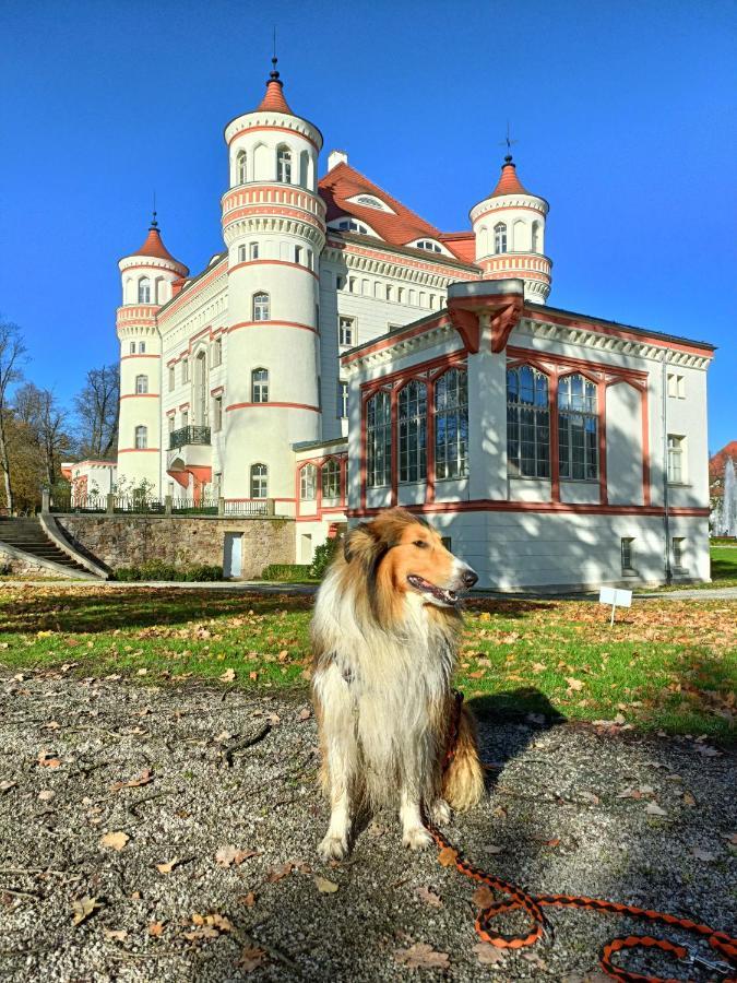 Apartament Widokowy Karkonosze Warmbrunn Eksteriør bilde